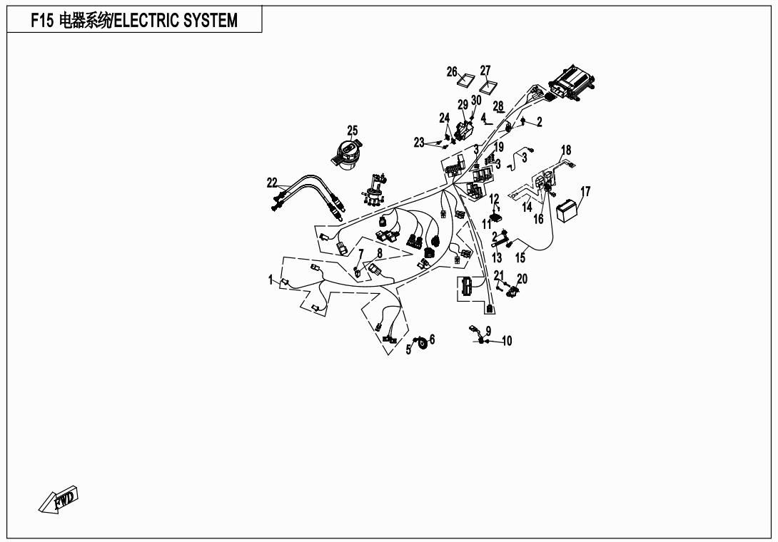 Picture of F15 - ELECTRIC SYSTEM