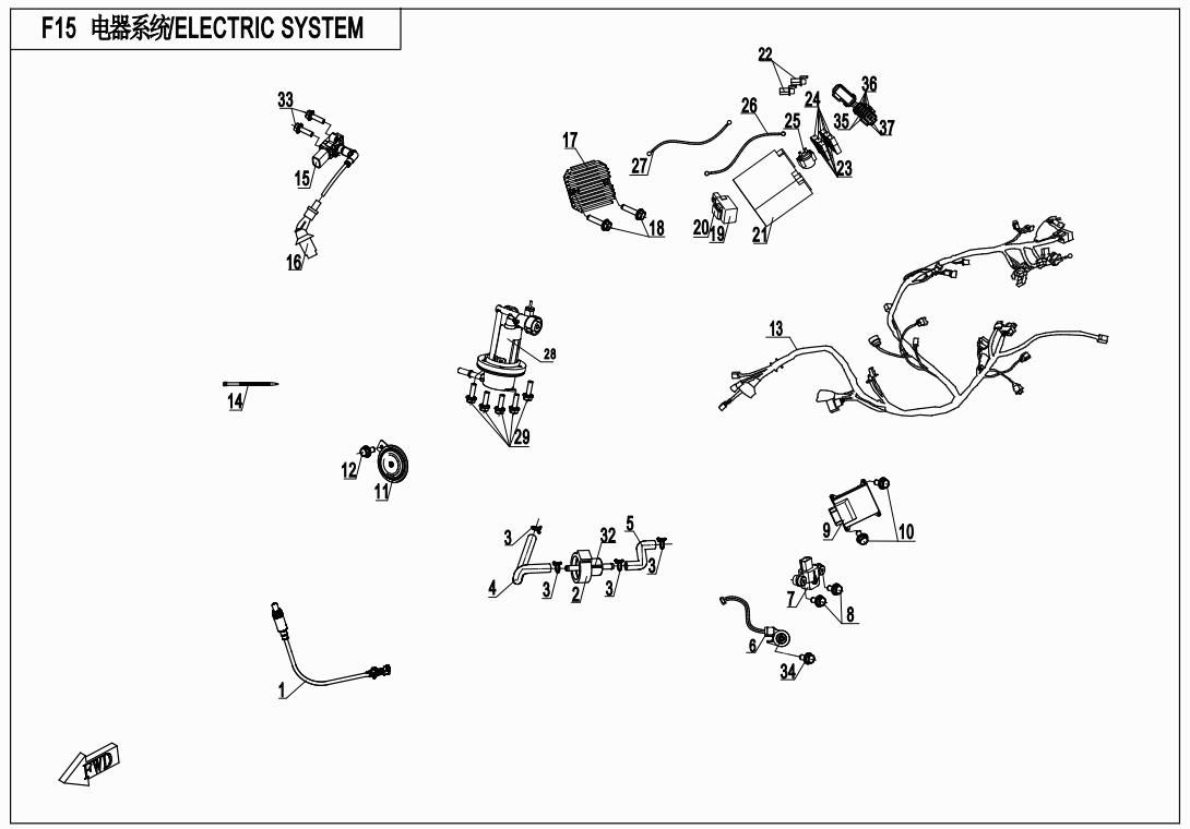 Picture of F15 - ELECTRIC SYSTEM