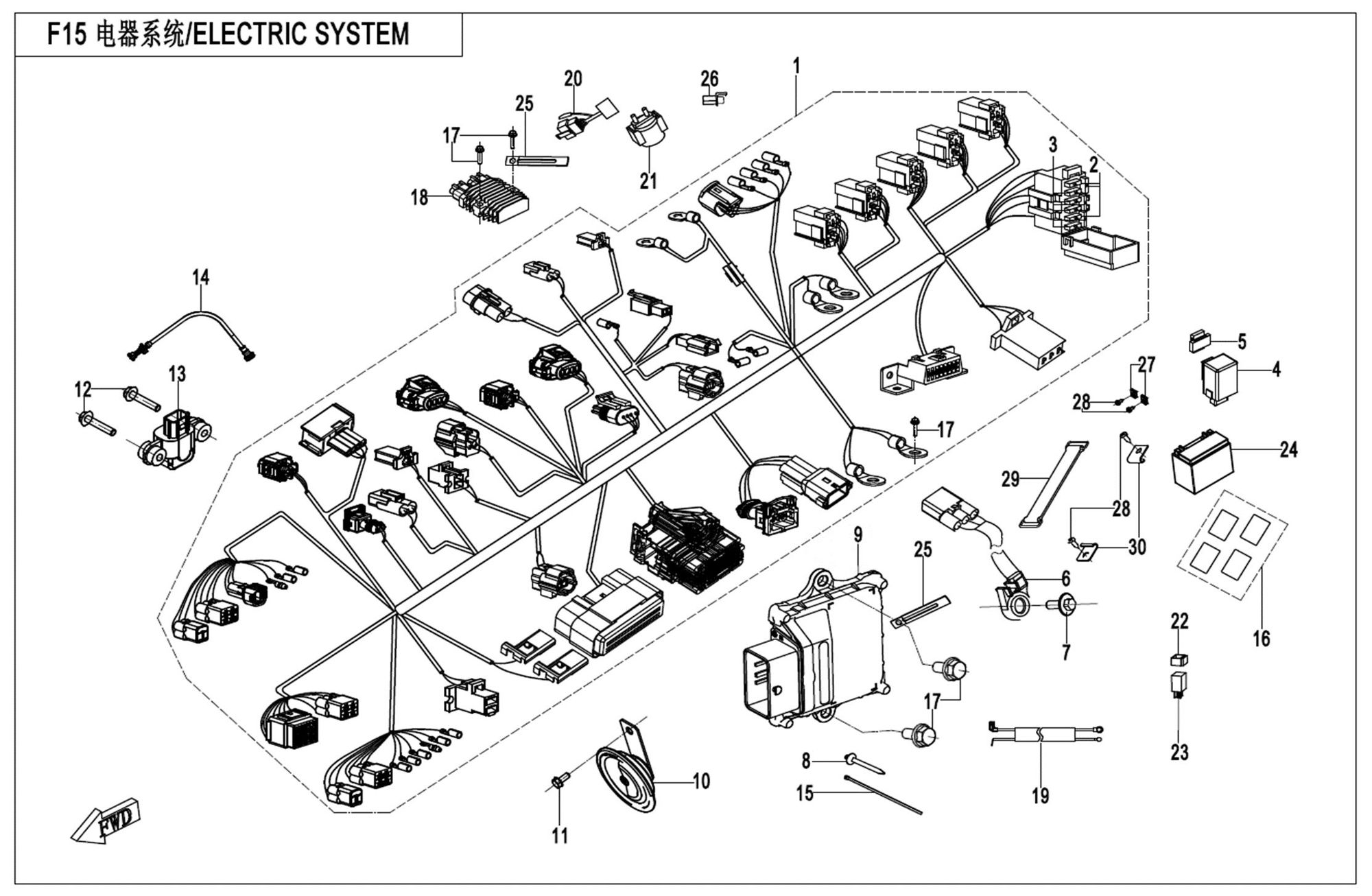 Picture of F15  - ELECTRIC SYSTEM