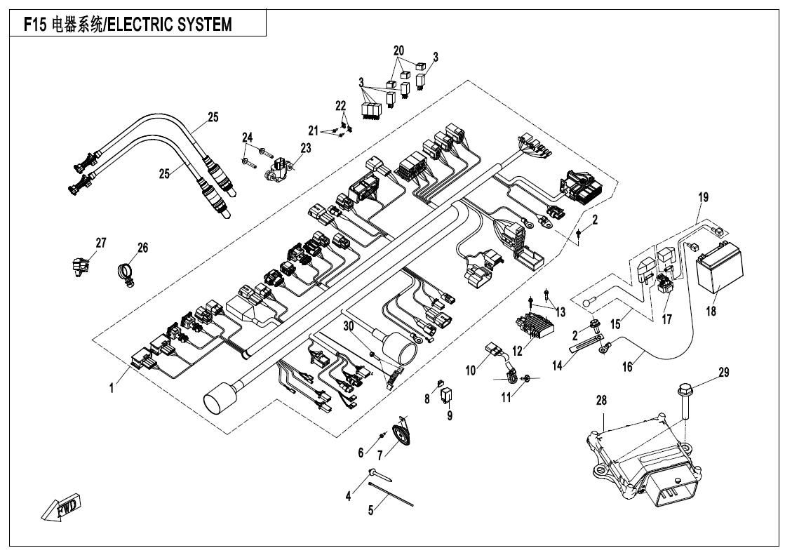 Picture of F15 - ELECTRIC SYSTEM