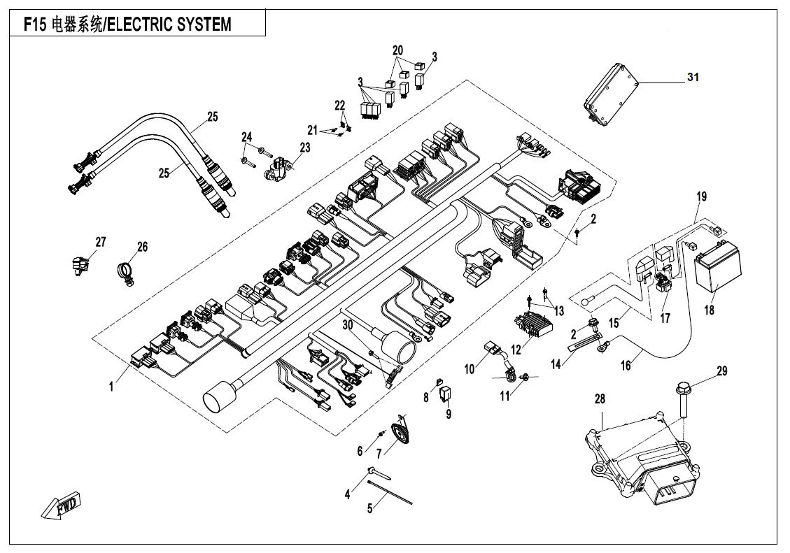 Picture of F15 - ELECTRIC SYSTEM