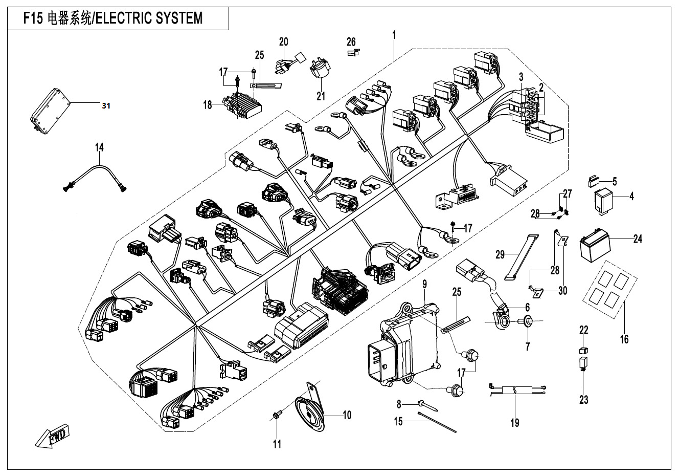 Picture of F15 - ELECTRIC SYSTEM