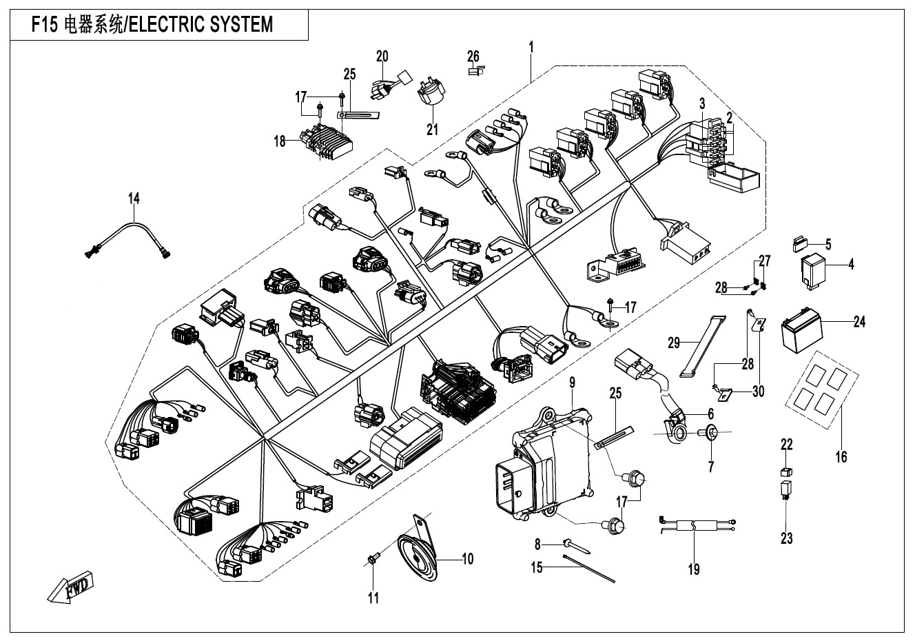 Picture of F15 - ELECTRIC SYSTEM