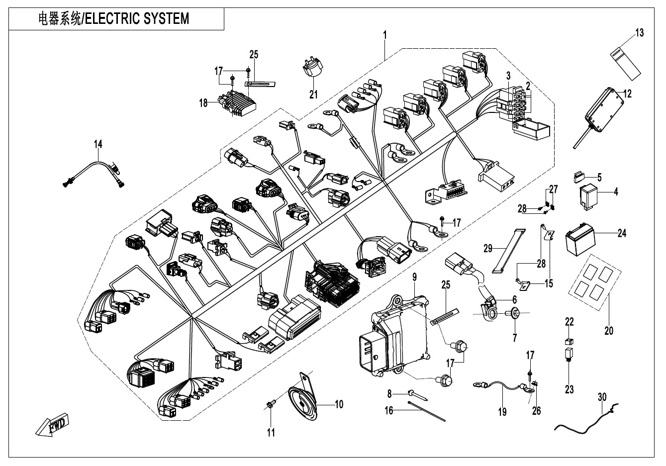 Picture of F15 - ELECTRIC SYSTEM