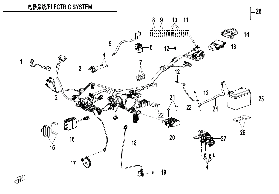 Picture of F15 - ELECTRIC SYSTEM