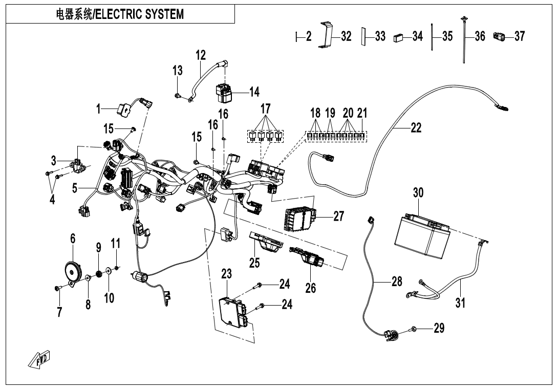 Picture of F15 - ELECTRIC SYSTEM