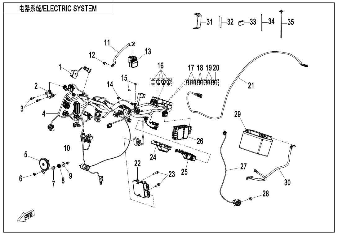 Picture of F15 - ELECTRIC SYSTEM